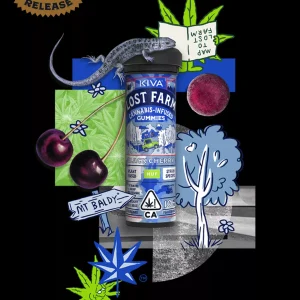 10mg Black Cherry x HUF OG Kush Live Resin Gummies